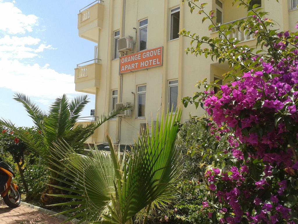 Orange Grove Apart Hotel Alanya Buitenkant foto